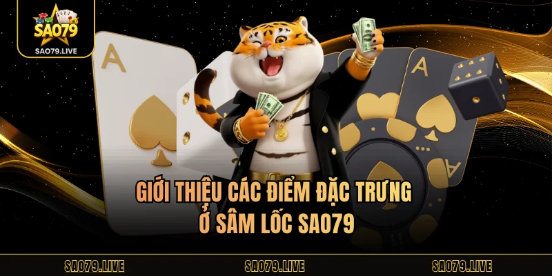 Giới thiệu các điểm đặc trưng ở sâm lốc Sao79