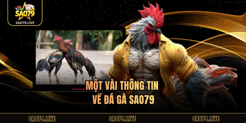 Một vài thông tin về đá gà Sao79